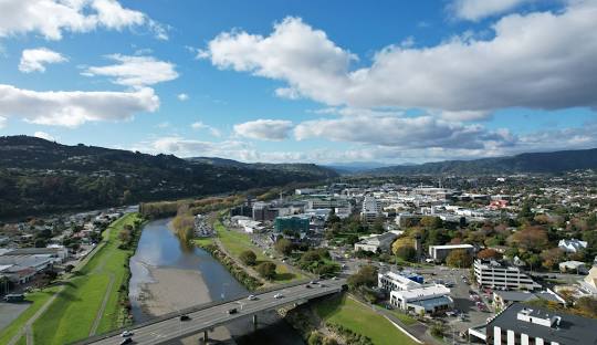 Weed in Lower Hutt