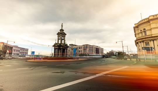 Weed in Invercargill