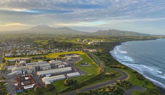 Weed in New Plymouth